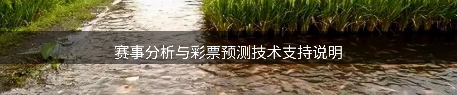 平台资讯
